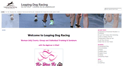 Desktop Screenshot of leapingdogracing.com